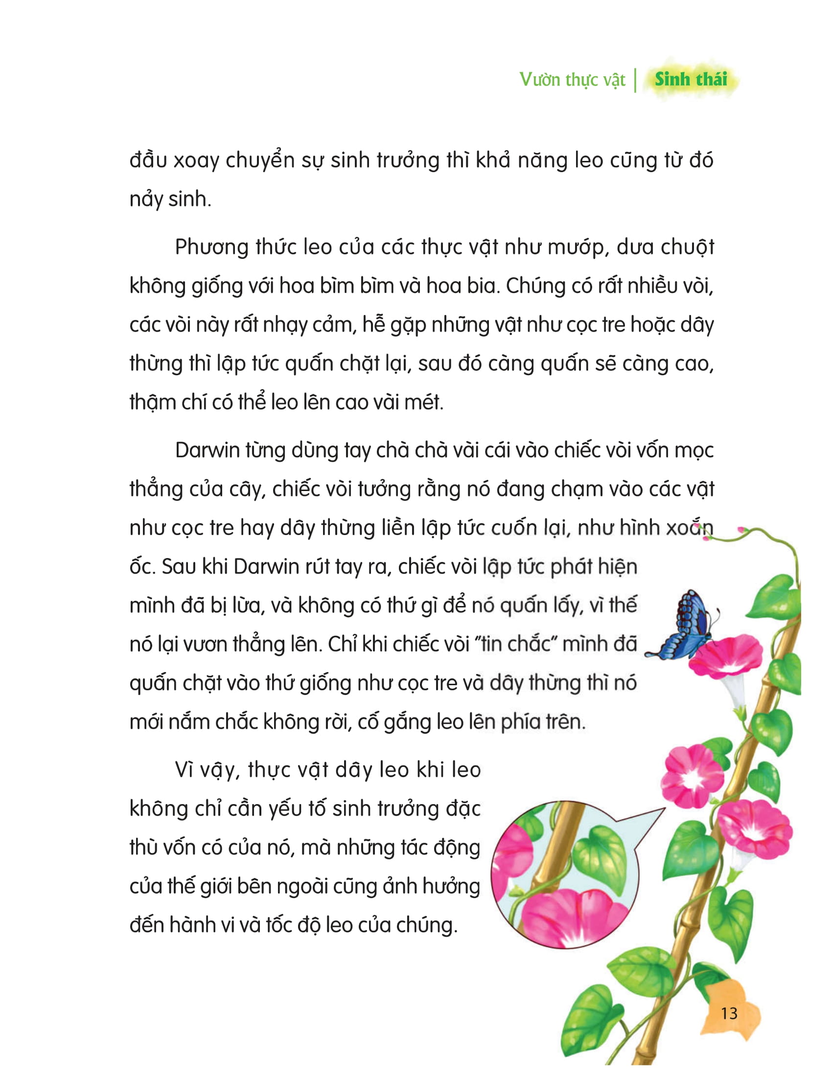 thư viện tri thức dành cho học sinh - khám phá thế giới tự nhiên - Ảnh 9