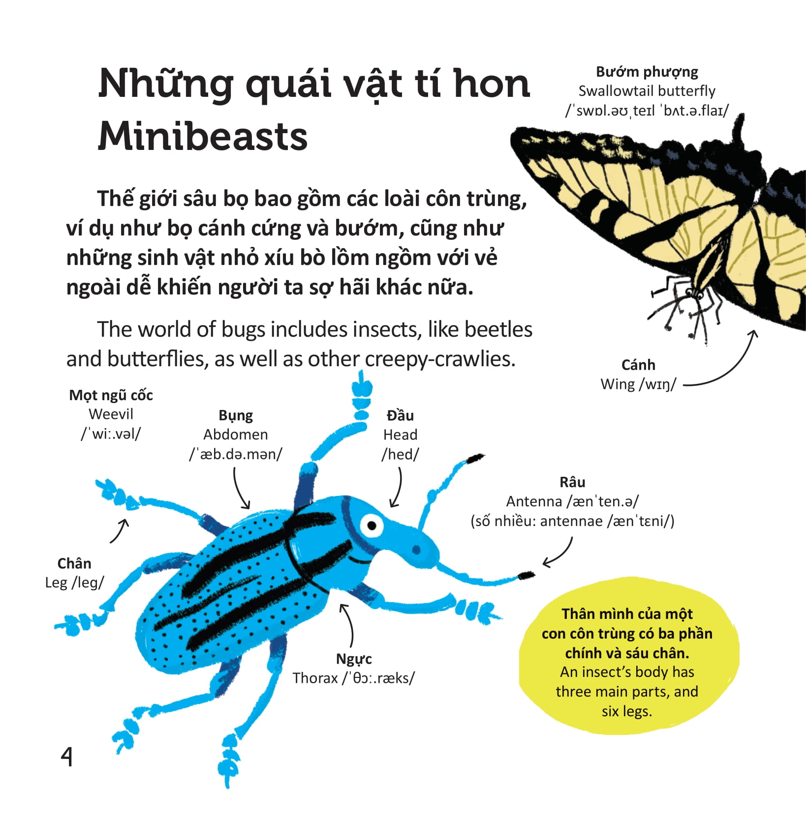 thư viện từ vựng đầu đời cho bé - các loài sâu bọ - bugs! - Ảnh 3