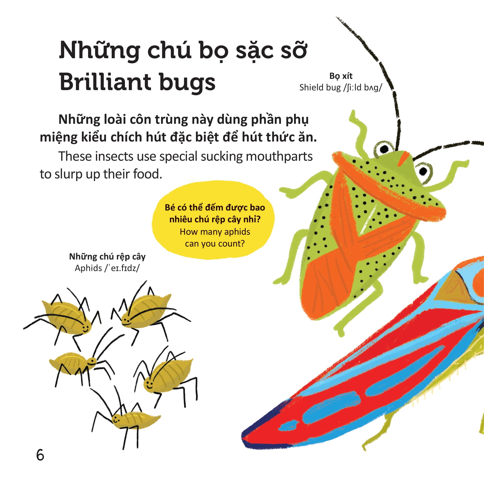 thư viện từ vựng đầu đời cho bé - các loài sâu bọ - bugs! - Ảnh 5