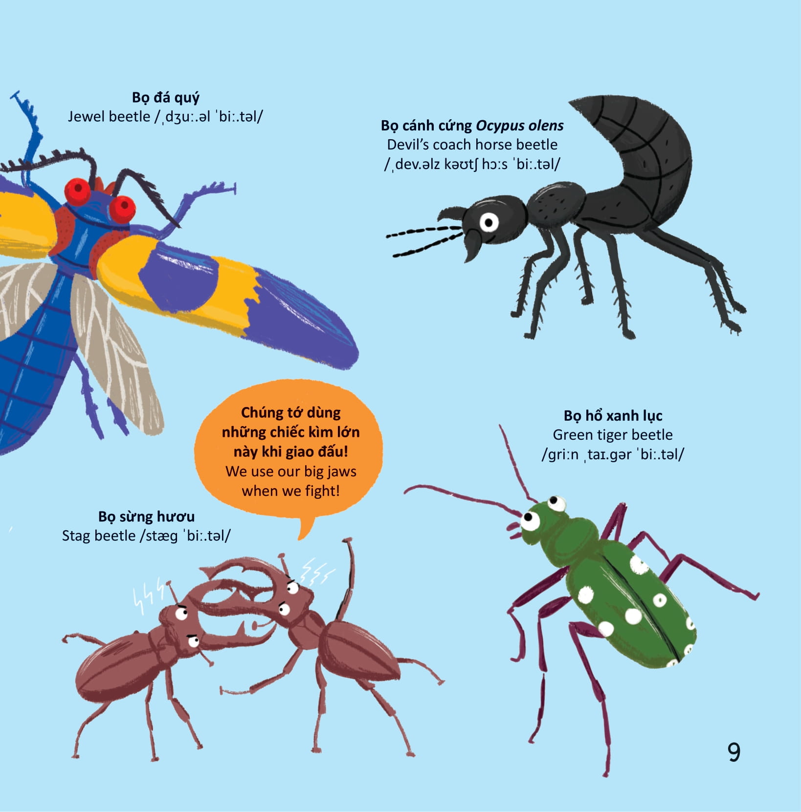 thư viện từ vựng đầu đời cho bé - các loài sâu bọ - bugs! - Ảnh 8