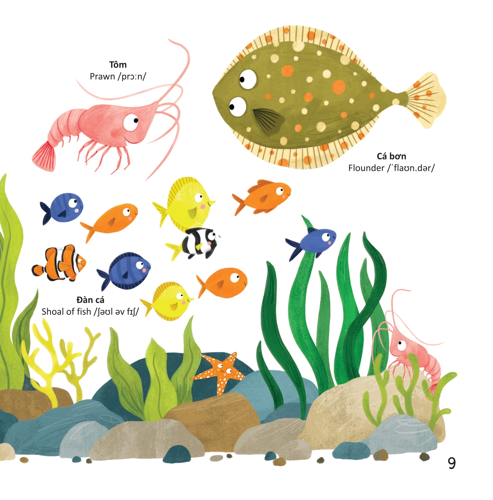 thư viện từ vựng đầu đời cho bé - động vật dưới biển - under the sea! - Ảnh 8