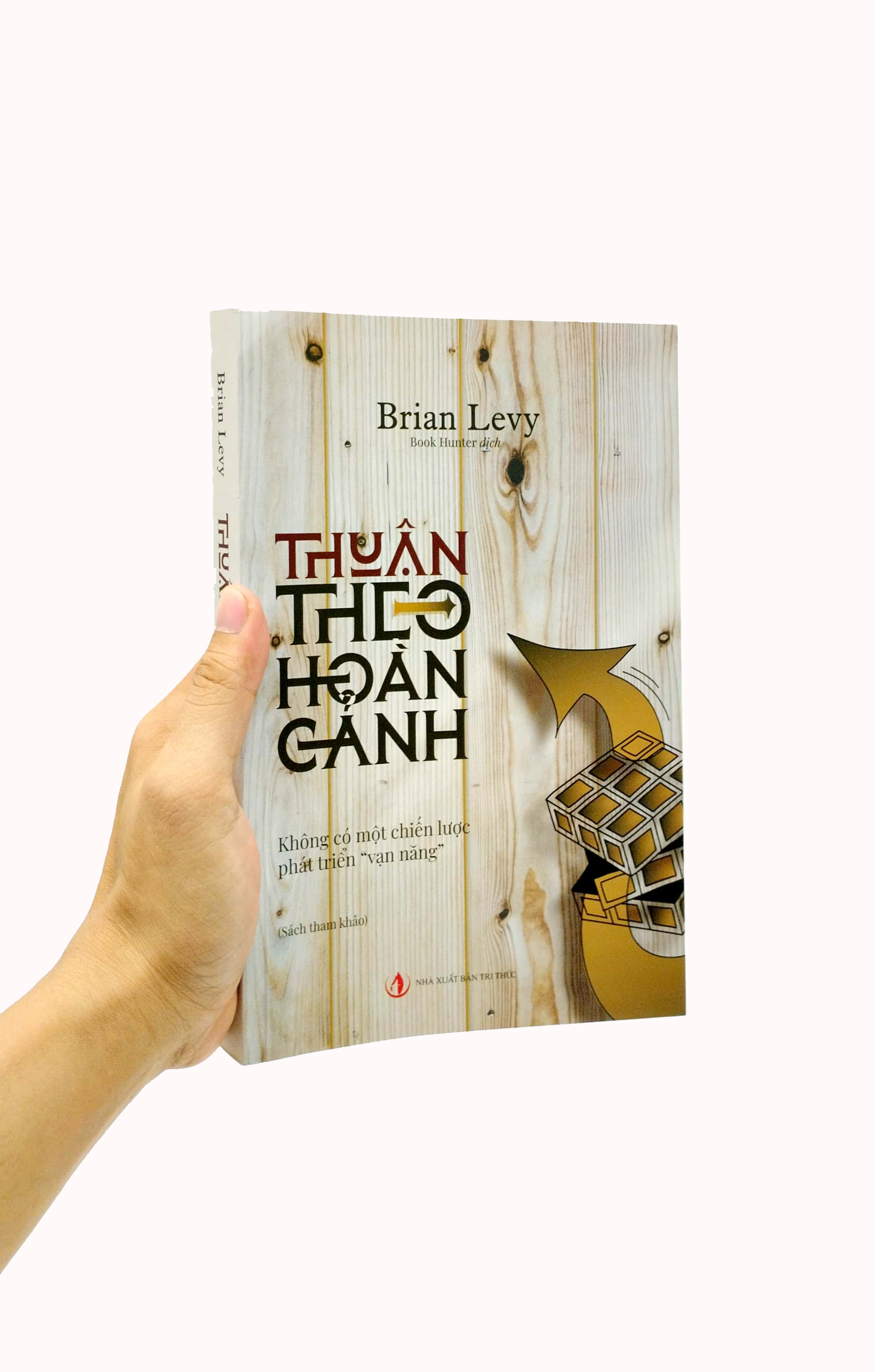Thuận Theo Hoàn Cảnh - Không Có Một Chiến Lược Phát Triển Vạn Năng - Ảnh 7