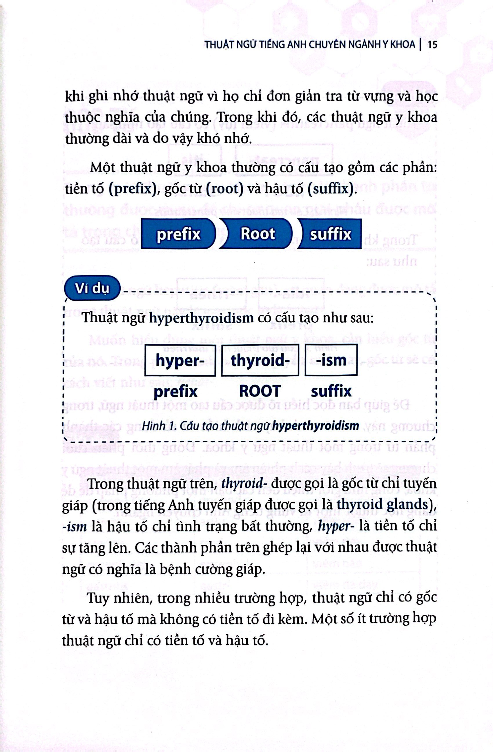 thuật ngữ tiếng anh chuyên ngành y khoa cho người mới bắt đầu - Ảnh 12