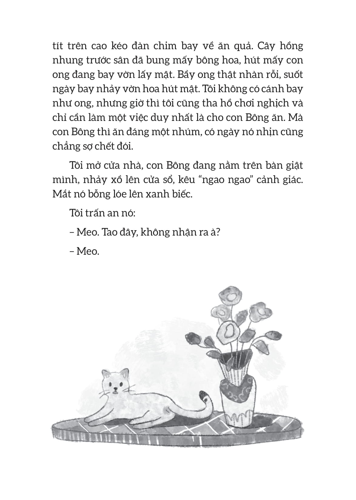 Thức Dậy Với Mặt Trời - Ảnh 11