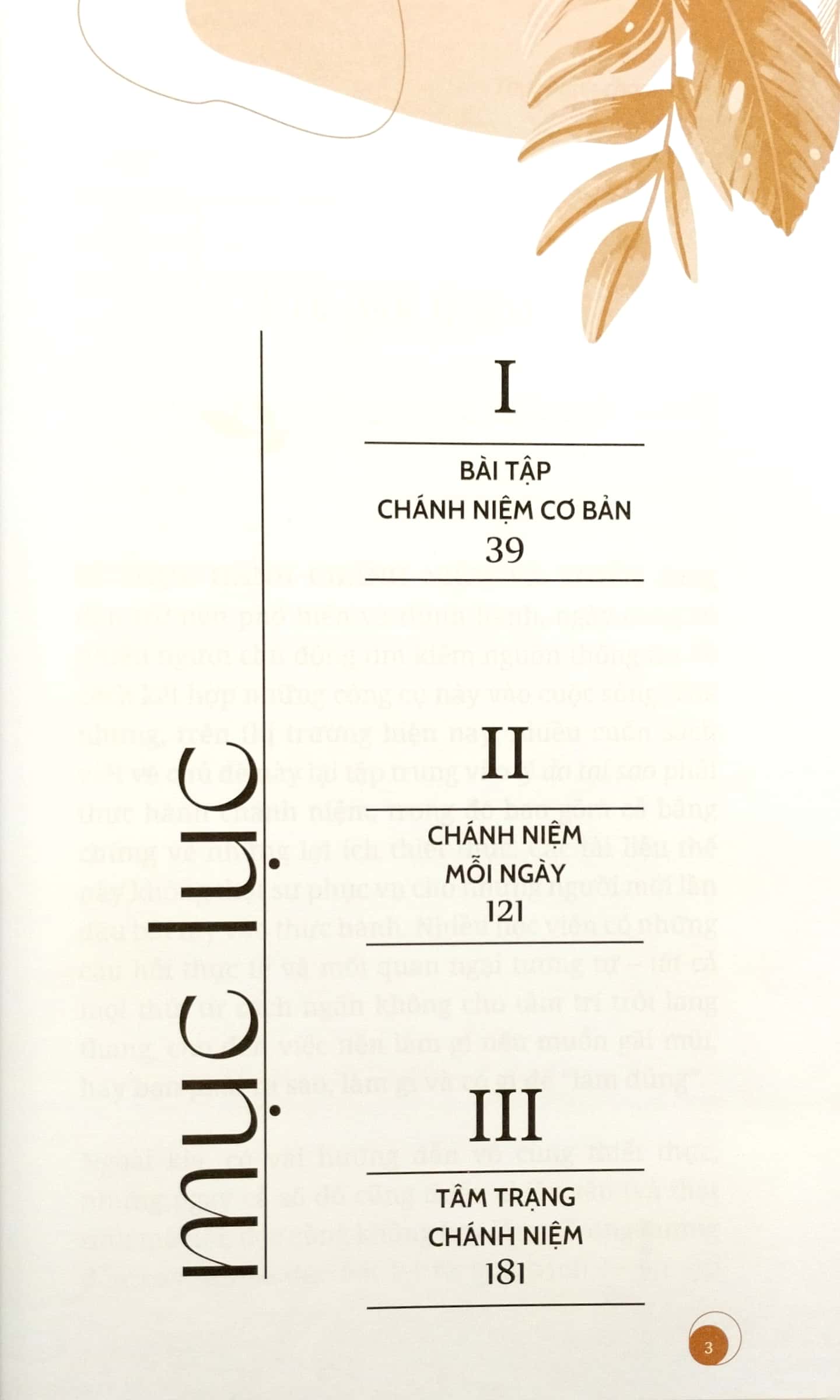 thực hành chánh niệm - Ảnh 3