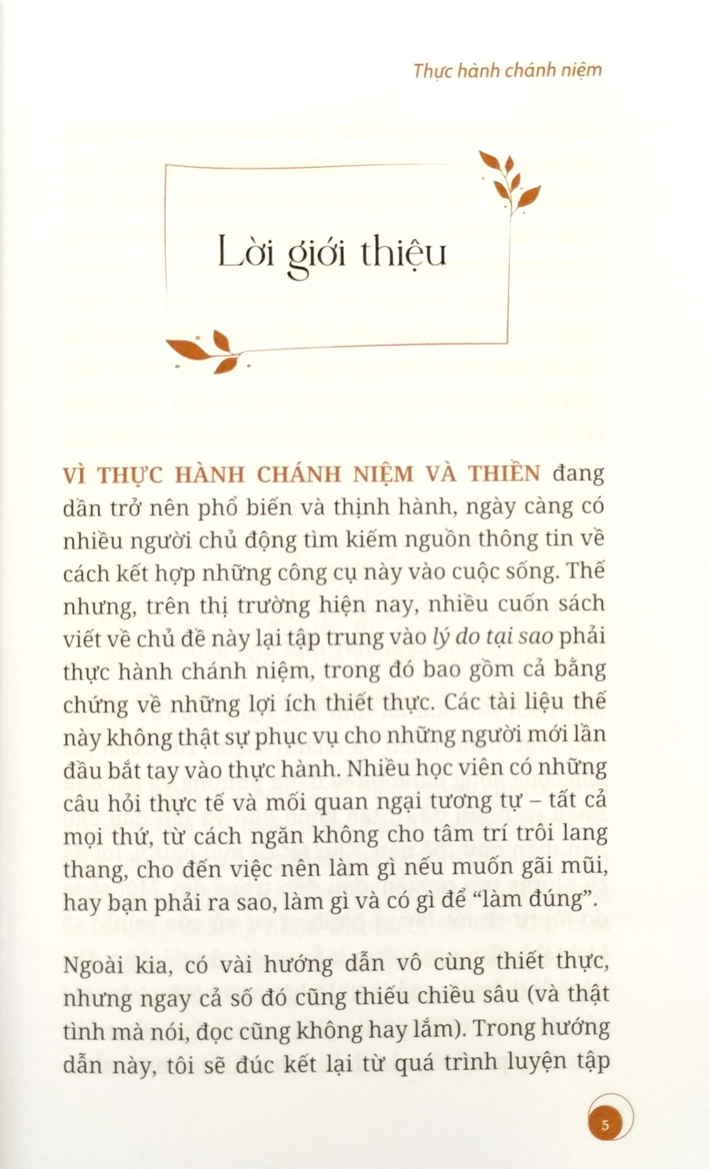 thực hành chánh niệm - Ảnh 4