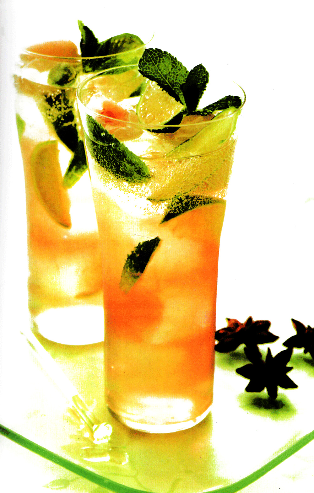 thức uống lạnh cho ngày nóng (tái bản 2016) - Ảnh 9