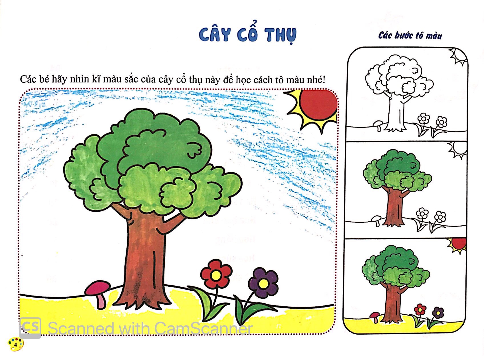 thực vật - tô màu - Ảnh 3