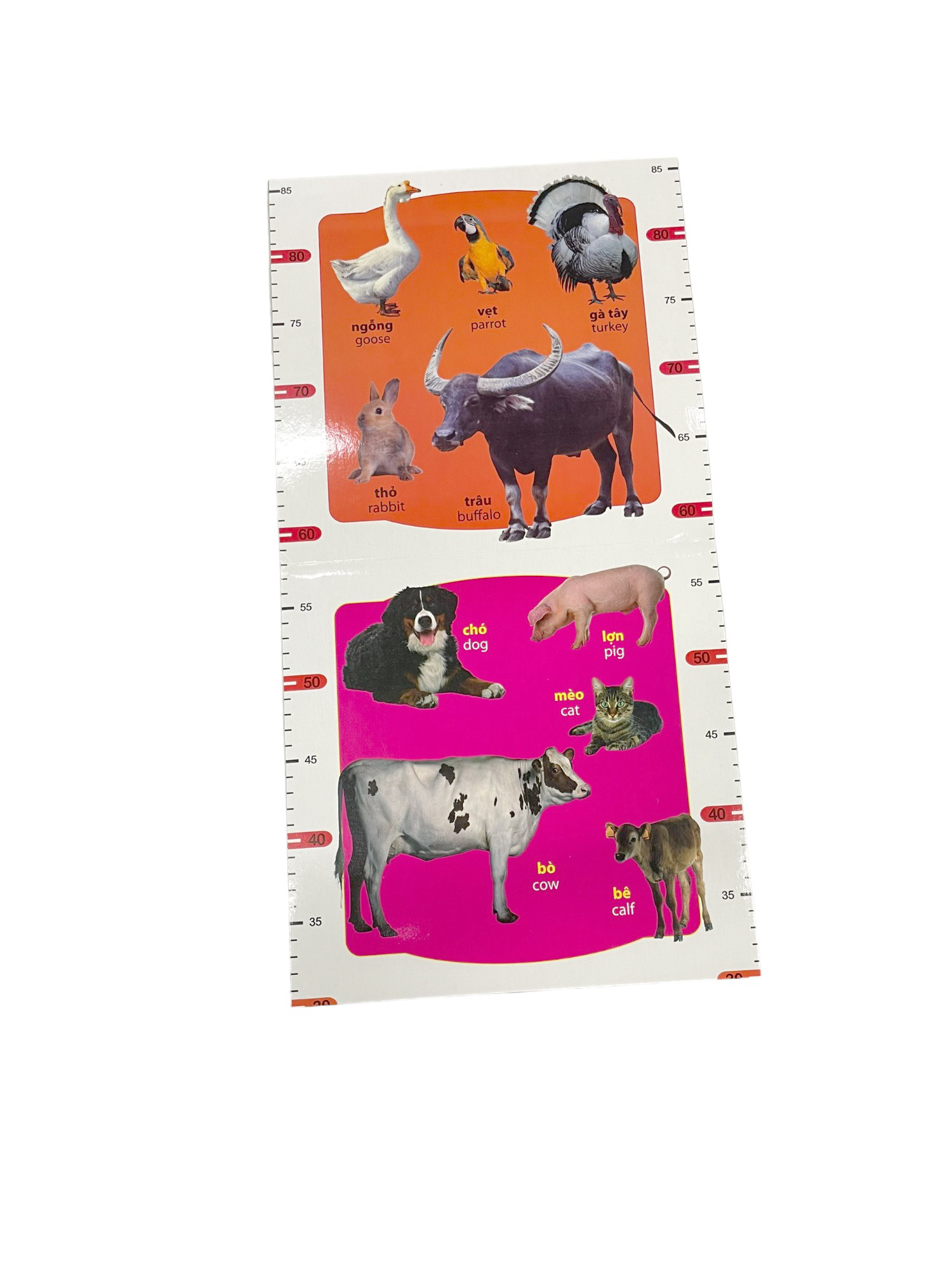 thước đo chiều cao - động vật nuôi (trí việt) - Ảnh 3