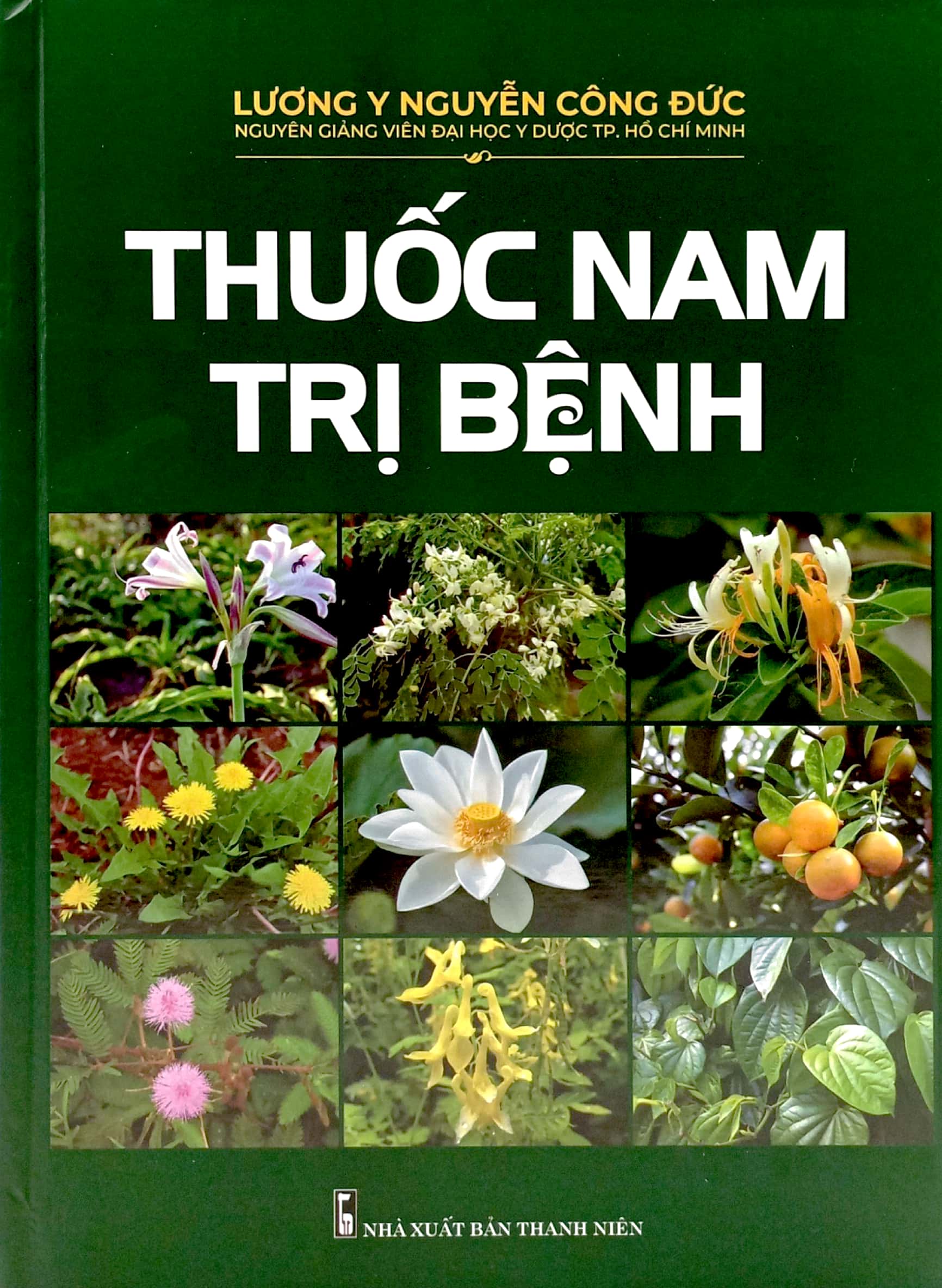 thuốc nam trị bệnh - bìa cứng - Ảnh 2