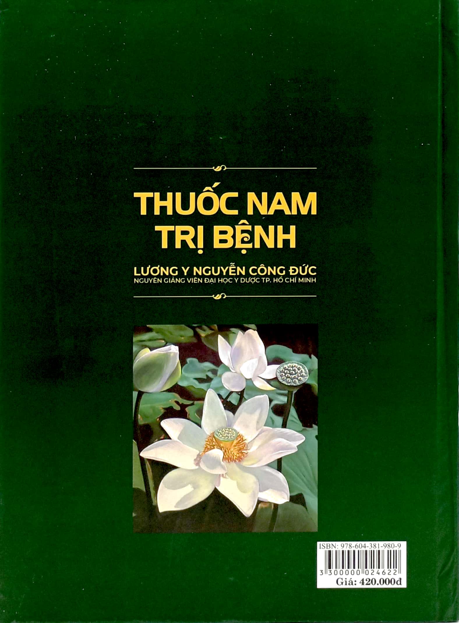 thuốc nam trị bệnh - bìa cứng - Ảnh 6