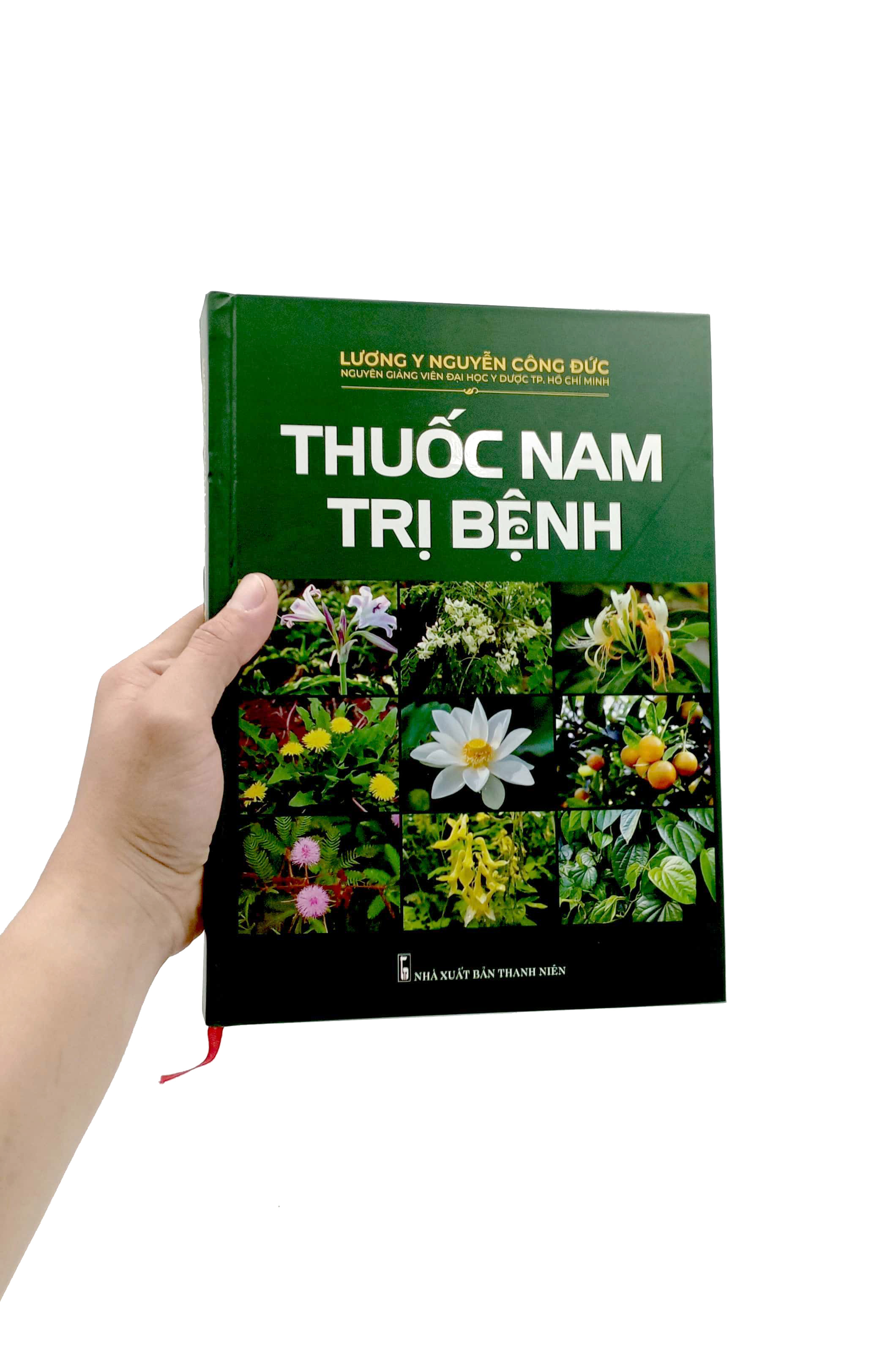 thuốc nam trị bệnh - bìa cứng - Ảnh 7
