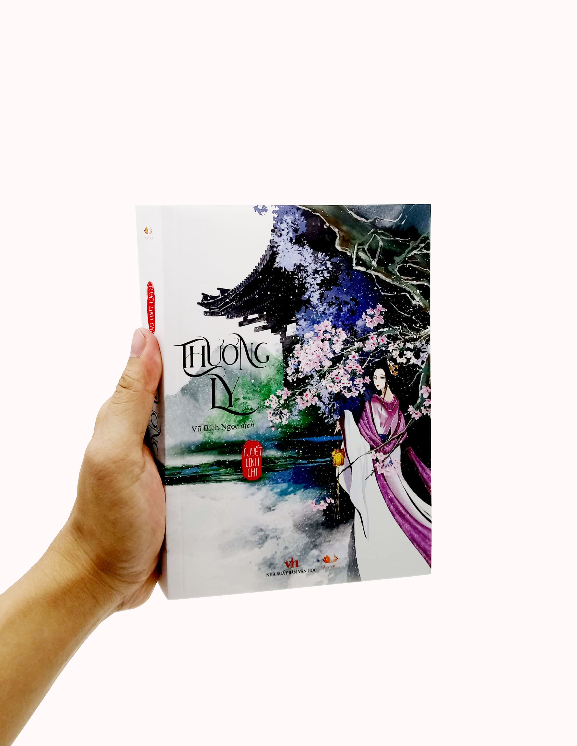 thương ly - Ảnh 7