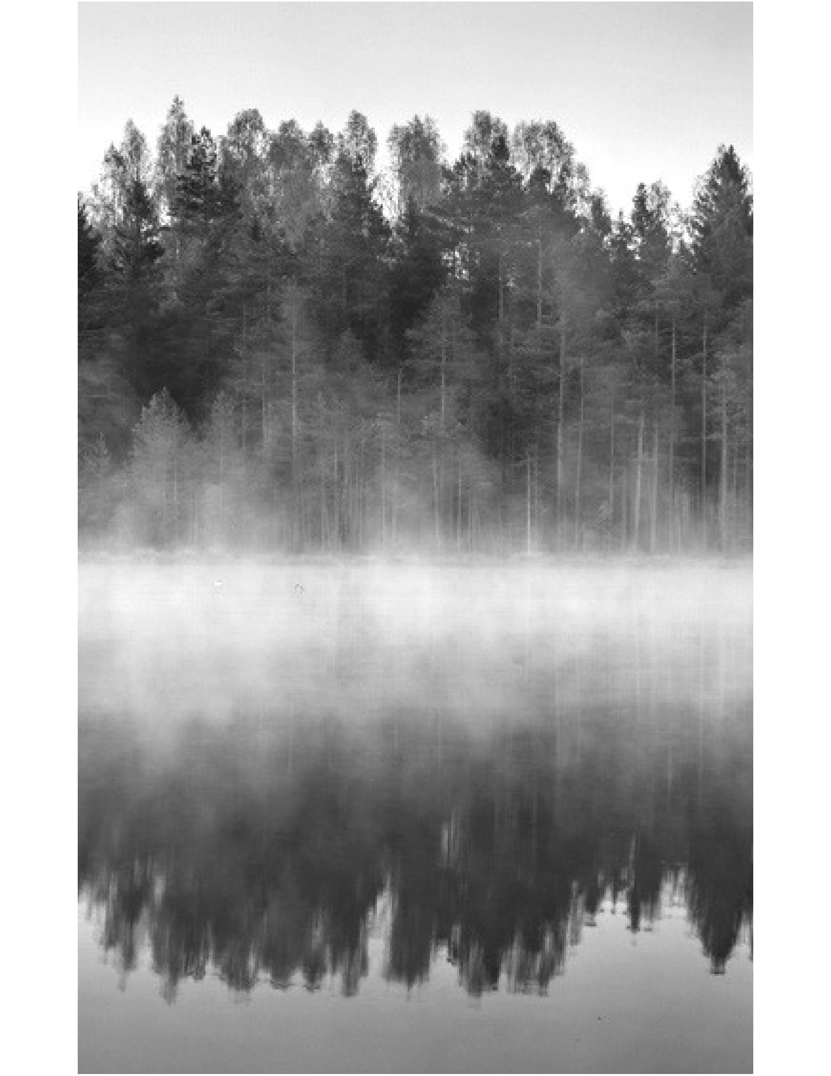 thương một tình thương - Ảnh 10