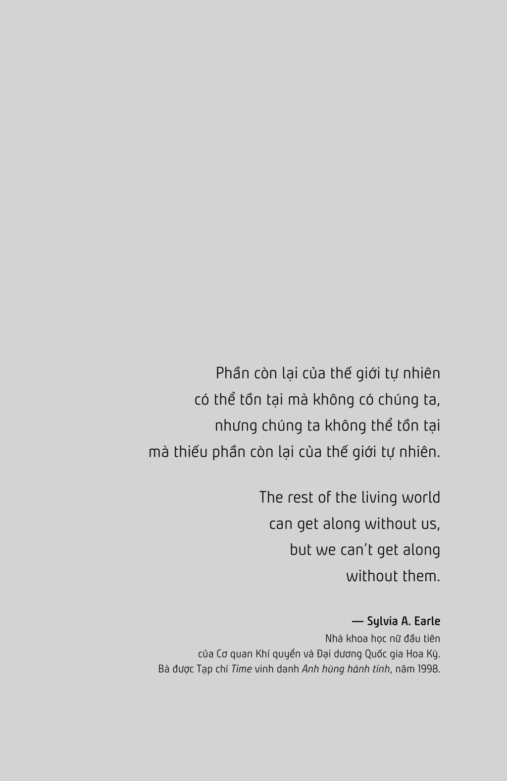 thương ngàn - Ảnh 5