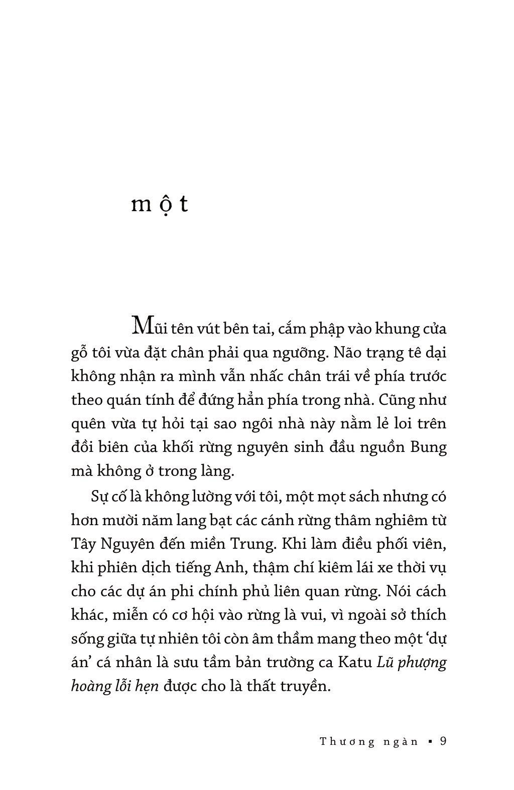 thương ngàn - Ảnh 6