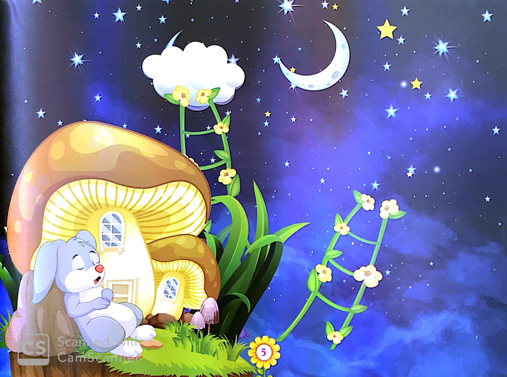 thường thức đời sống - tại sao mùa hè lại nóng bức - Ảnh 5