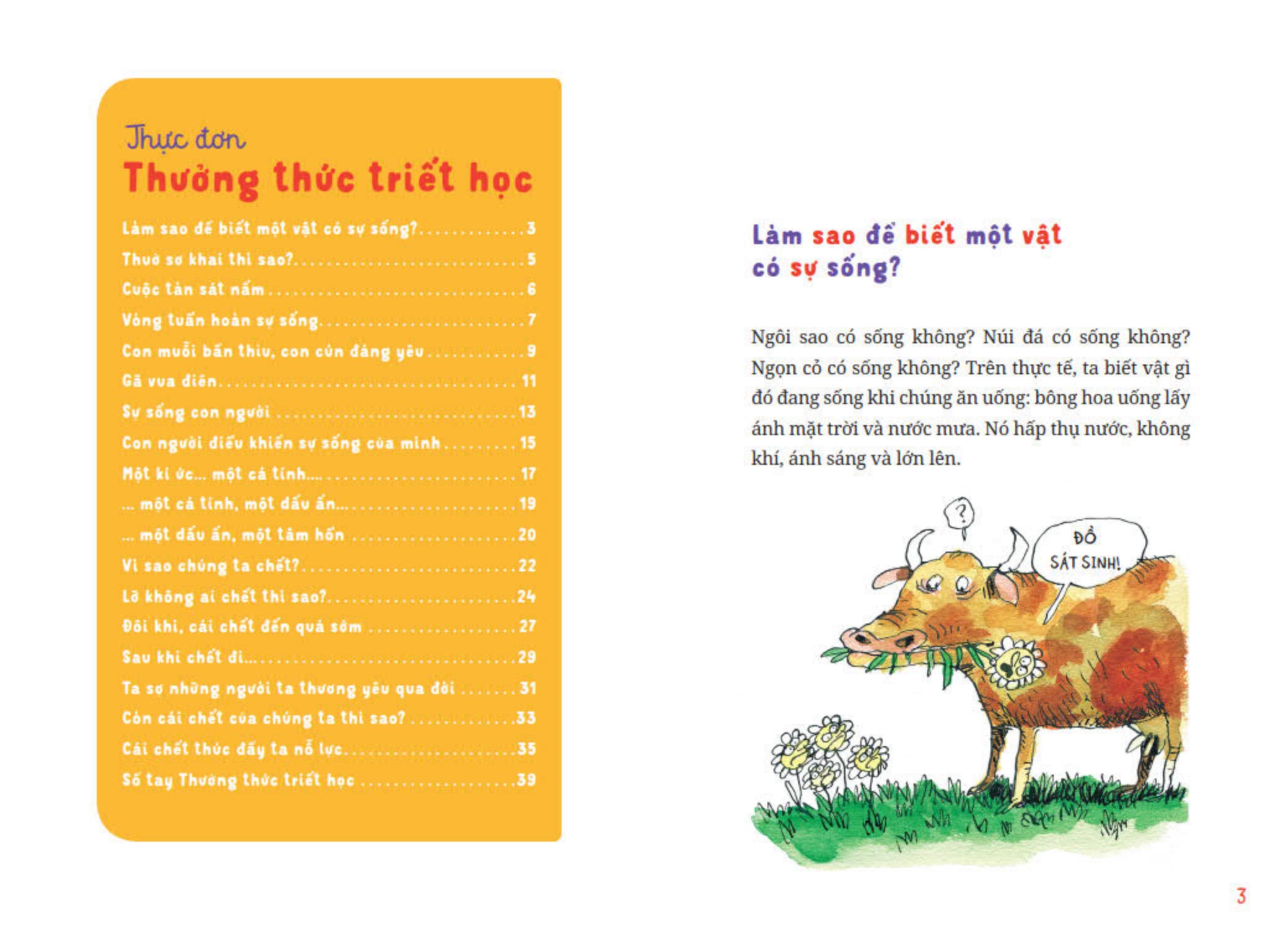 thưởng thức triết học - sự sống và cái chết - Ảnh 3