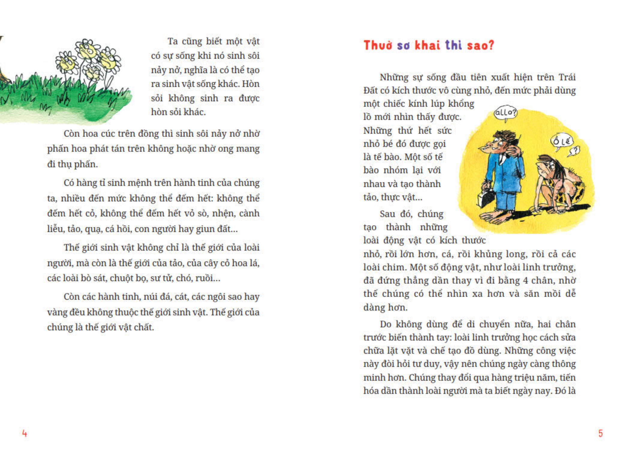 thưởng thức triết học - sự sống và cái chết - Ảnh 4