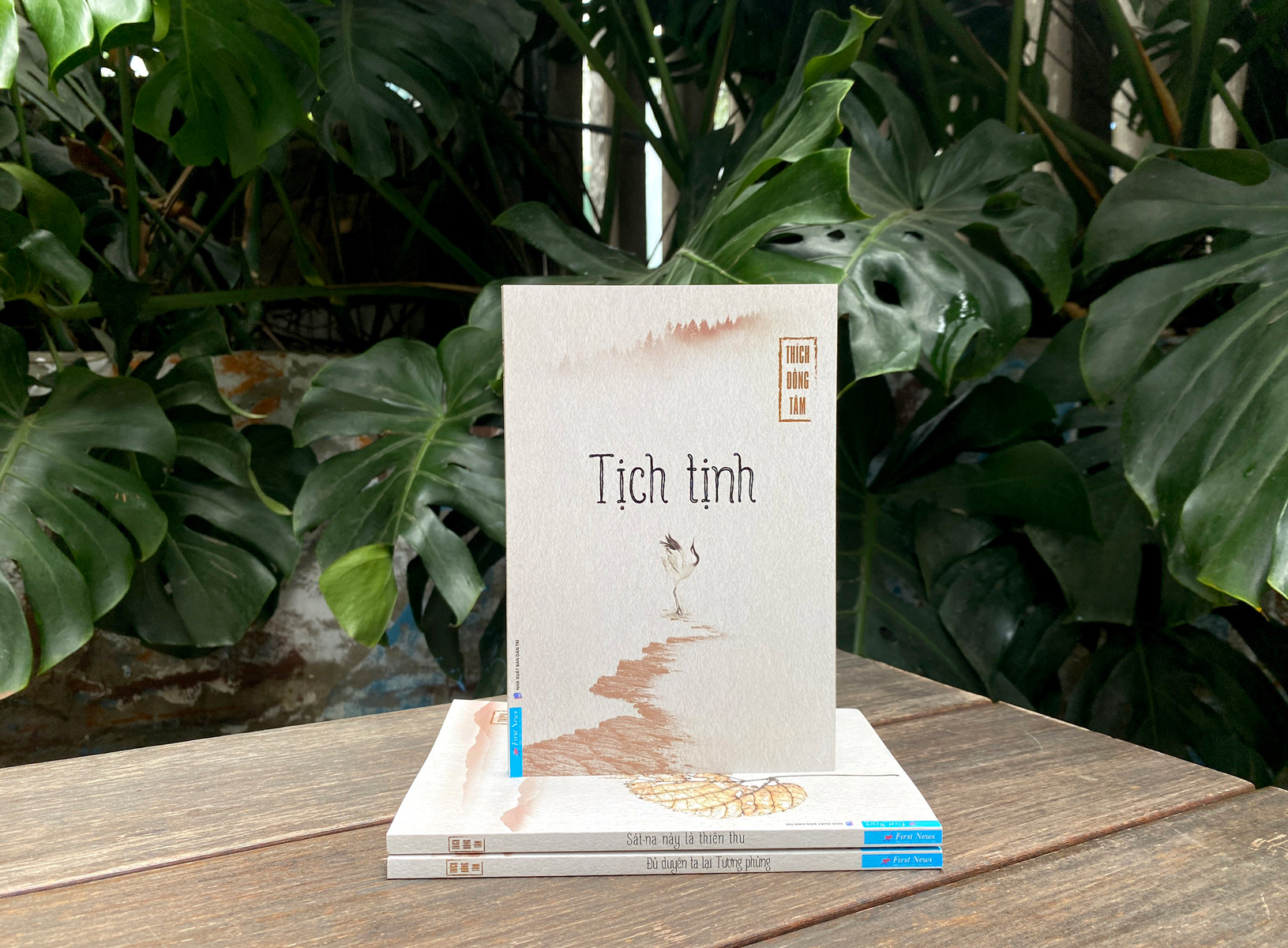 tịch tịnh - Ảnh 4