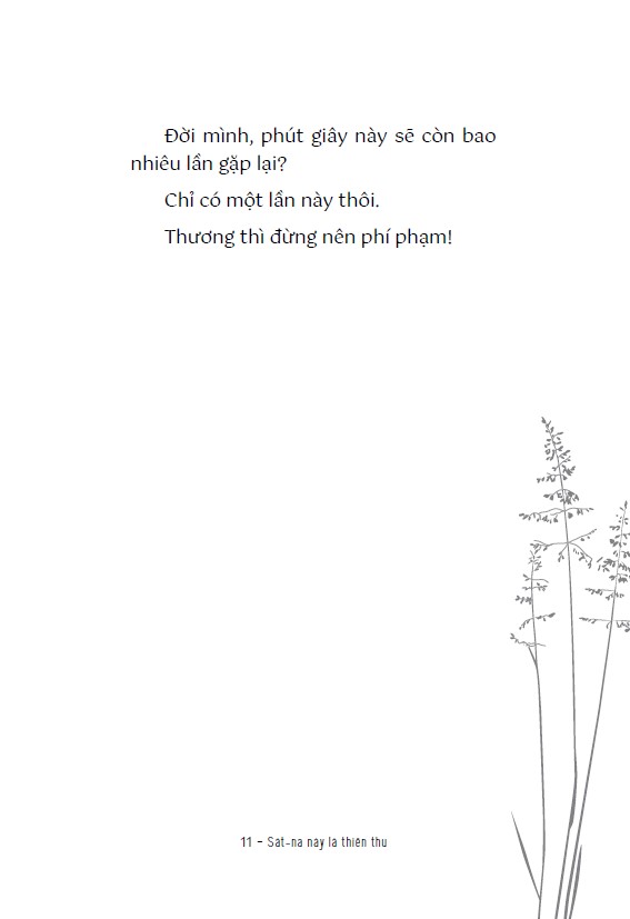 tịch tịnh - Ảnh 8