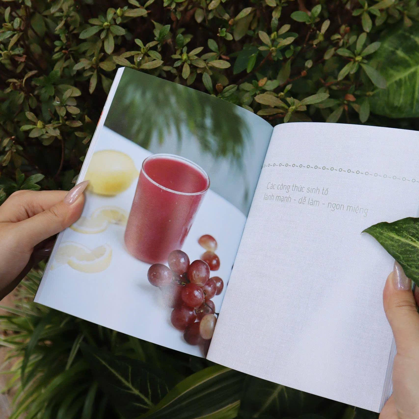 Tiệm Nước Ép Nhà Làm - Ảnh 5