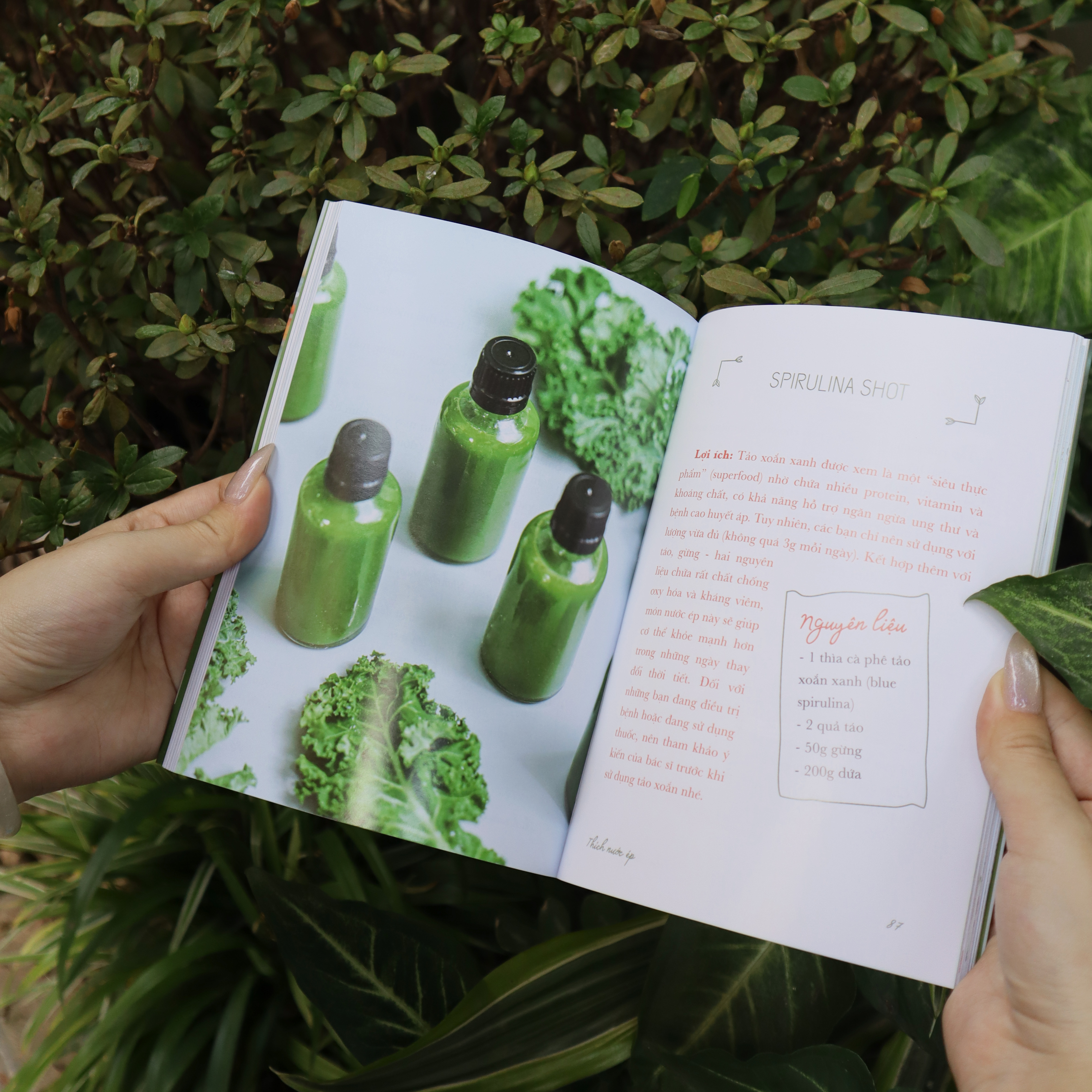 Tiệm Nước Ép Nhà Làm - Ảnh 6