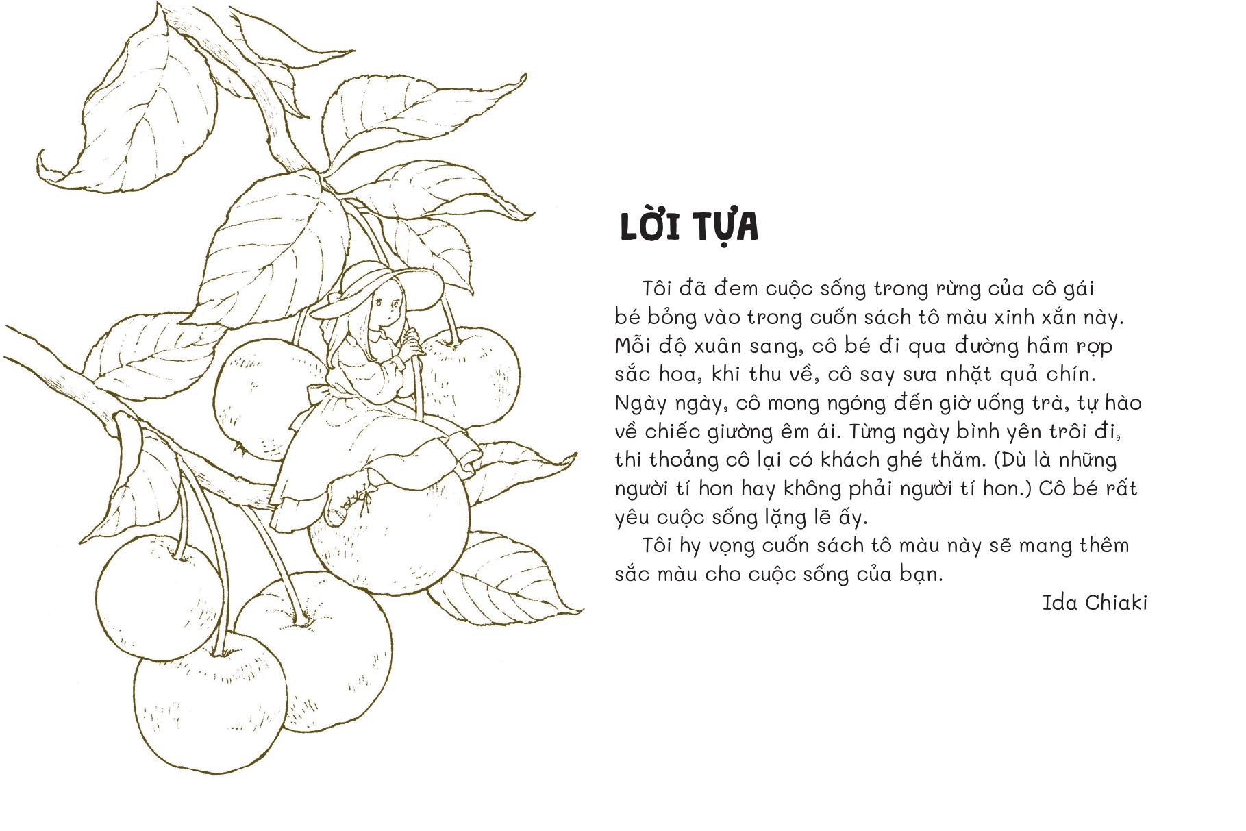 Tiệm Postcard Trong Khu Rừng Nhỏ - Ảnh 3