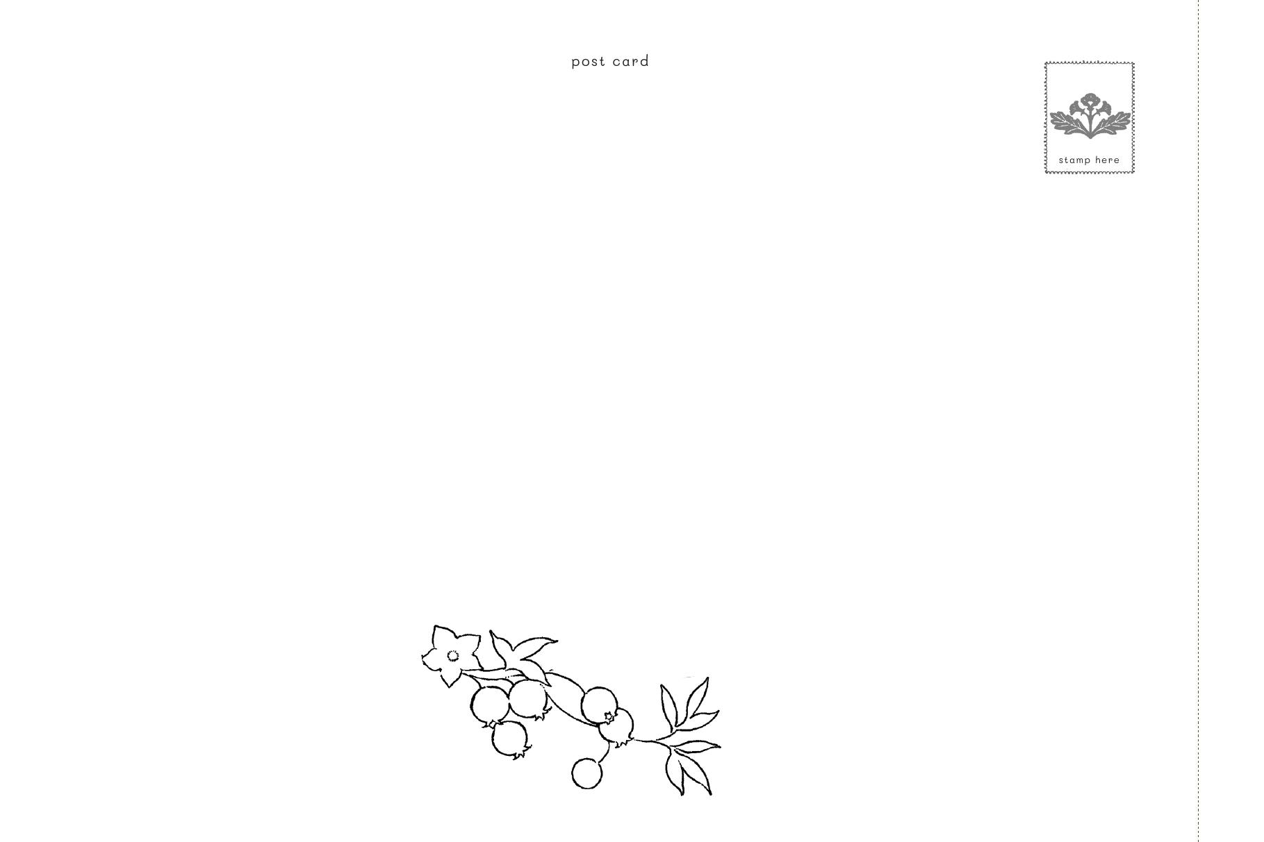 Tiệm Postcard Trong Khu Rừng Nhỏ - Ảnh 9