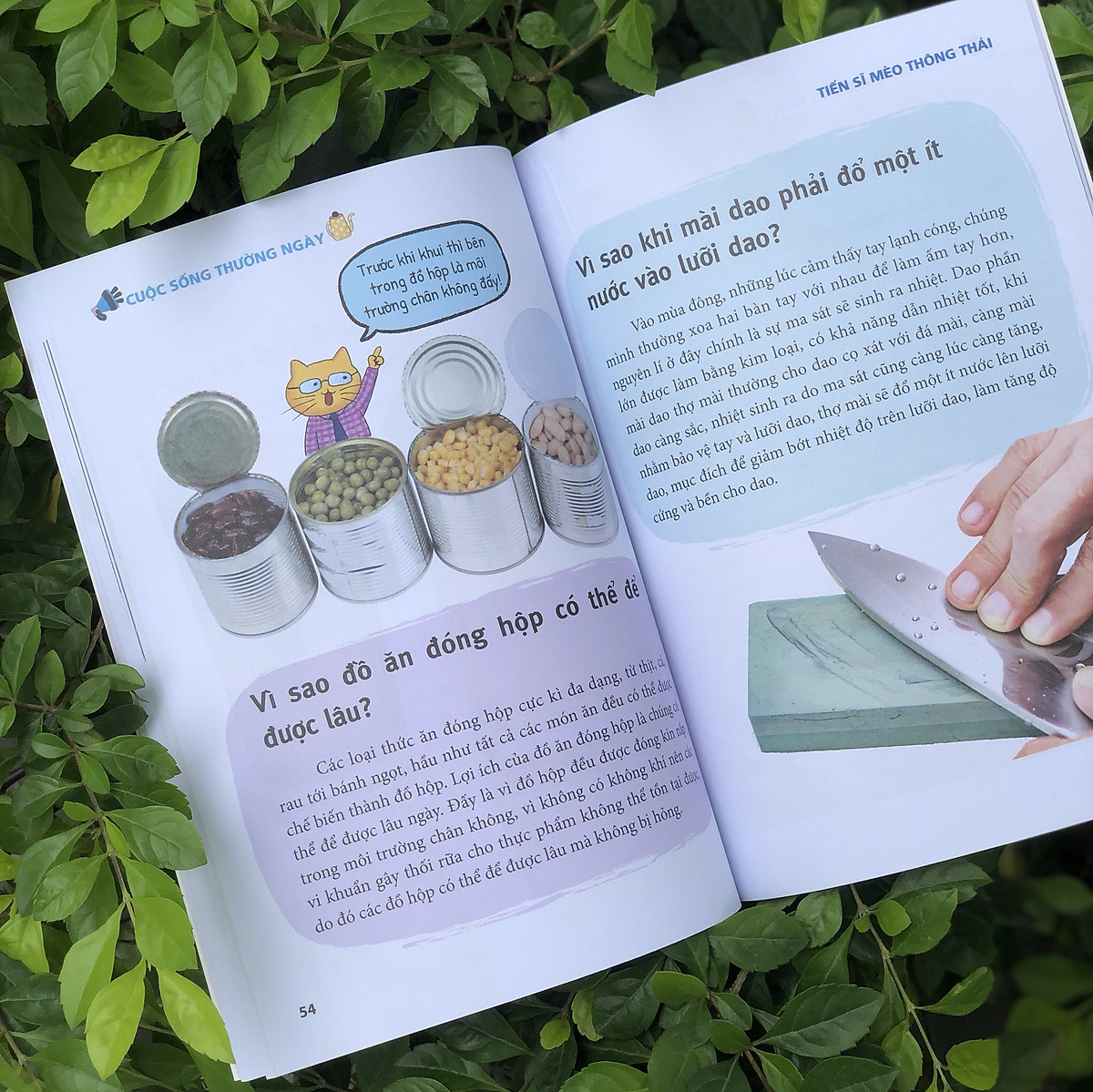 tiến sĩ mèo thông thái - cuộc sống thường ngày - Ảnh 4