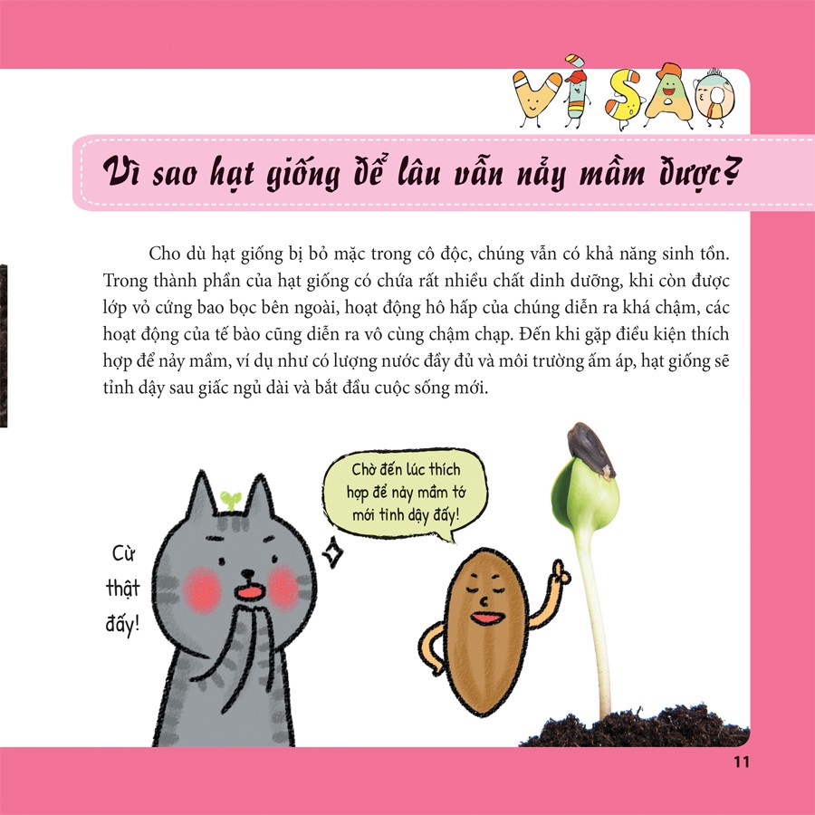 tiến sĩ mèo thông thái - thực vật diệu kì - Ảnh 4