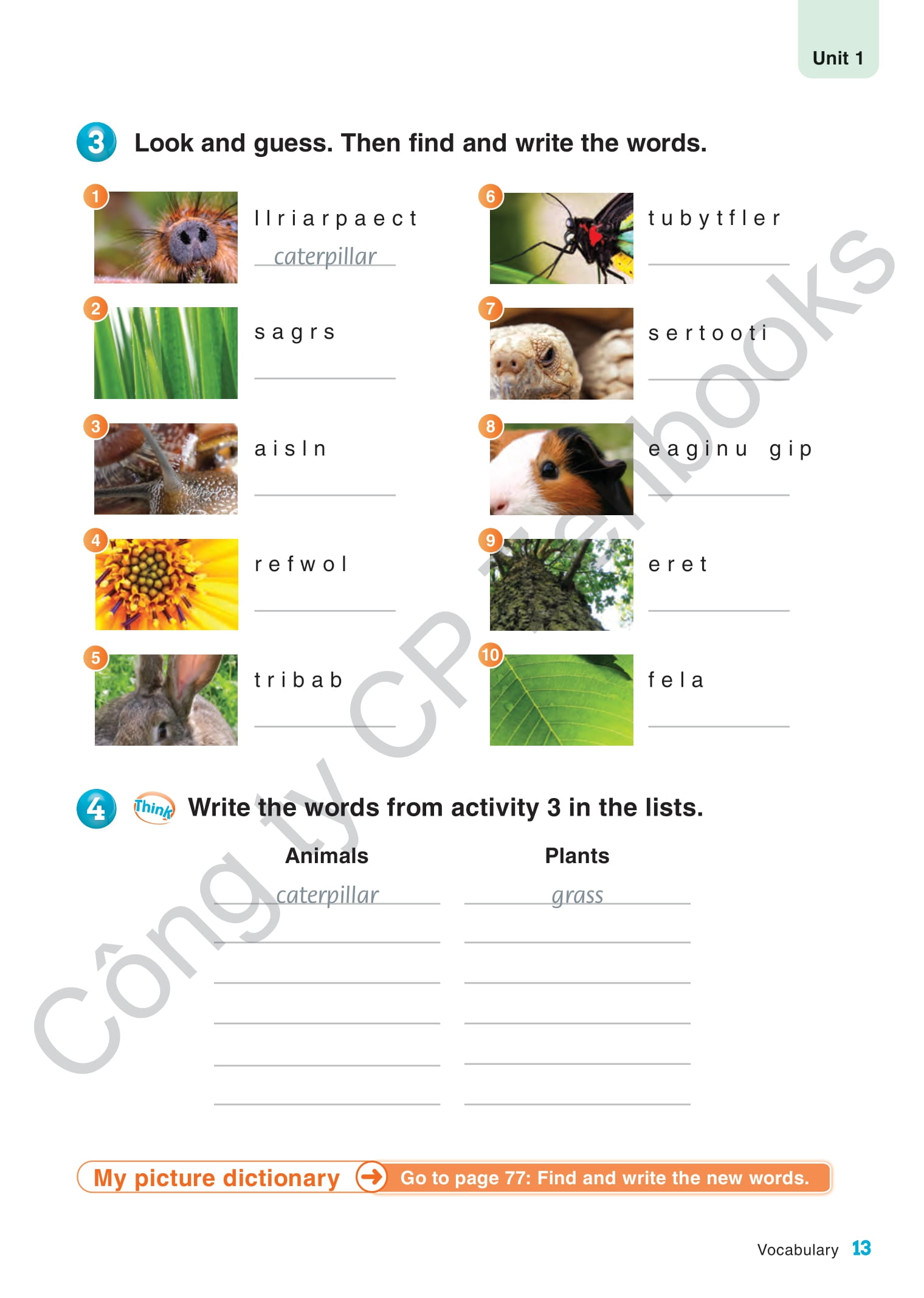 tiếng anh 3 guess what! - workbook (sách bài tập) - Ảnh 13