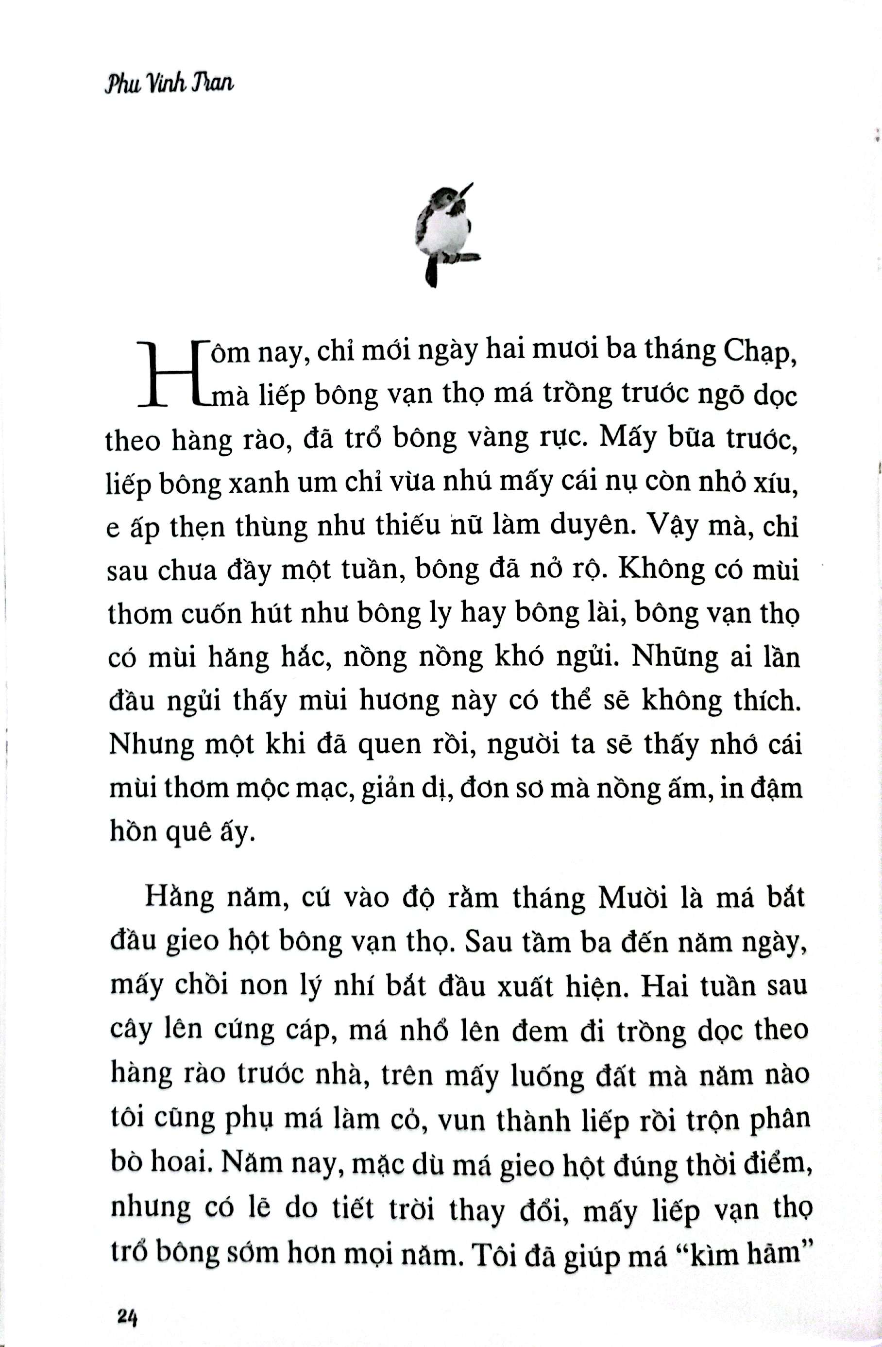 Tiếng Chim Hót Trong Vườn - Ảnh 4