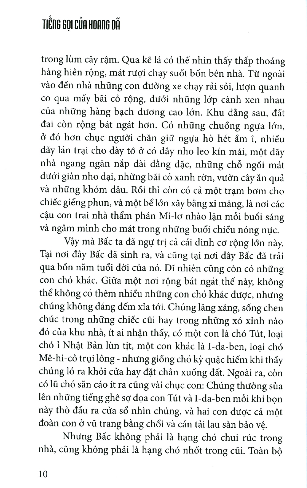 tiếng gọi của hoang dã (tái bản 2021) - Ảnh 4