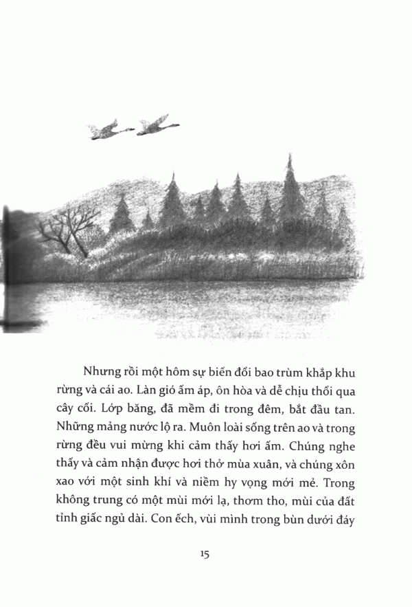 tiếng kèn thiên nga - Ảnh 10