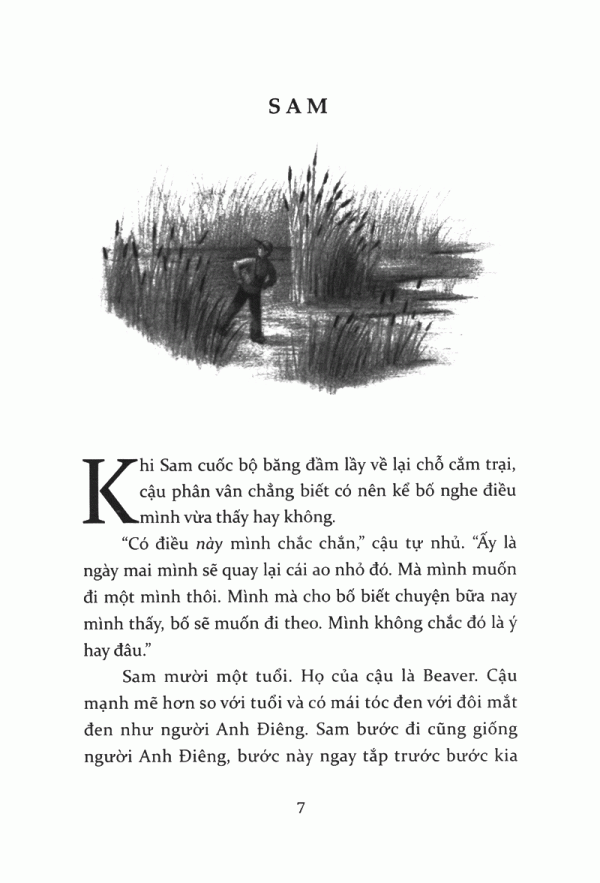 tiếng kèn thiên nga - Ảnh 2
