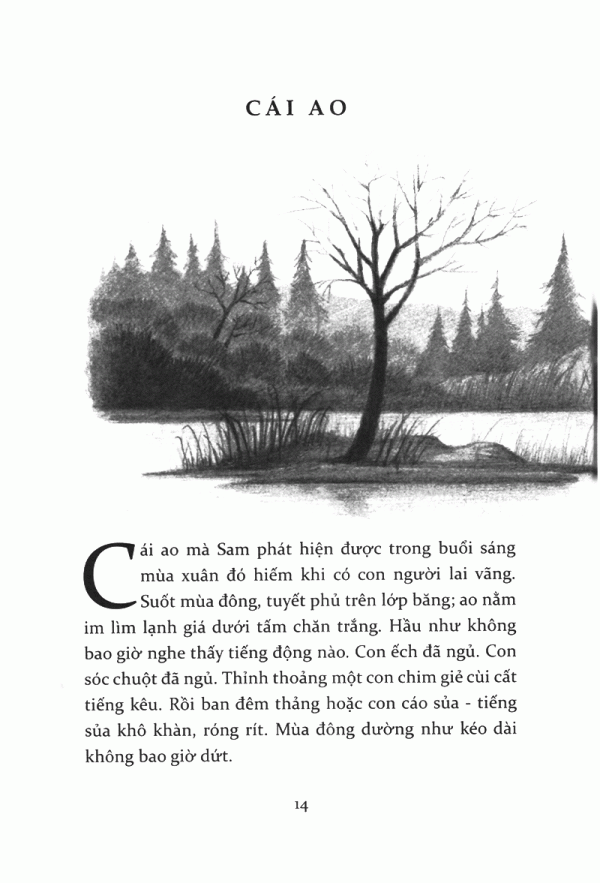 tiếng kèn thiên nga - Ảnh 9