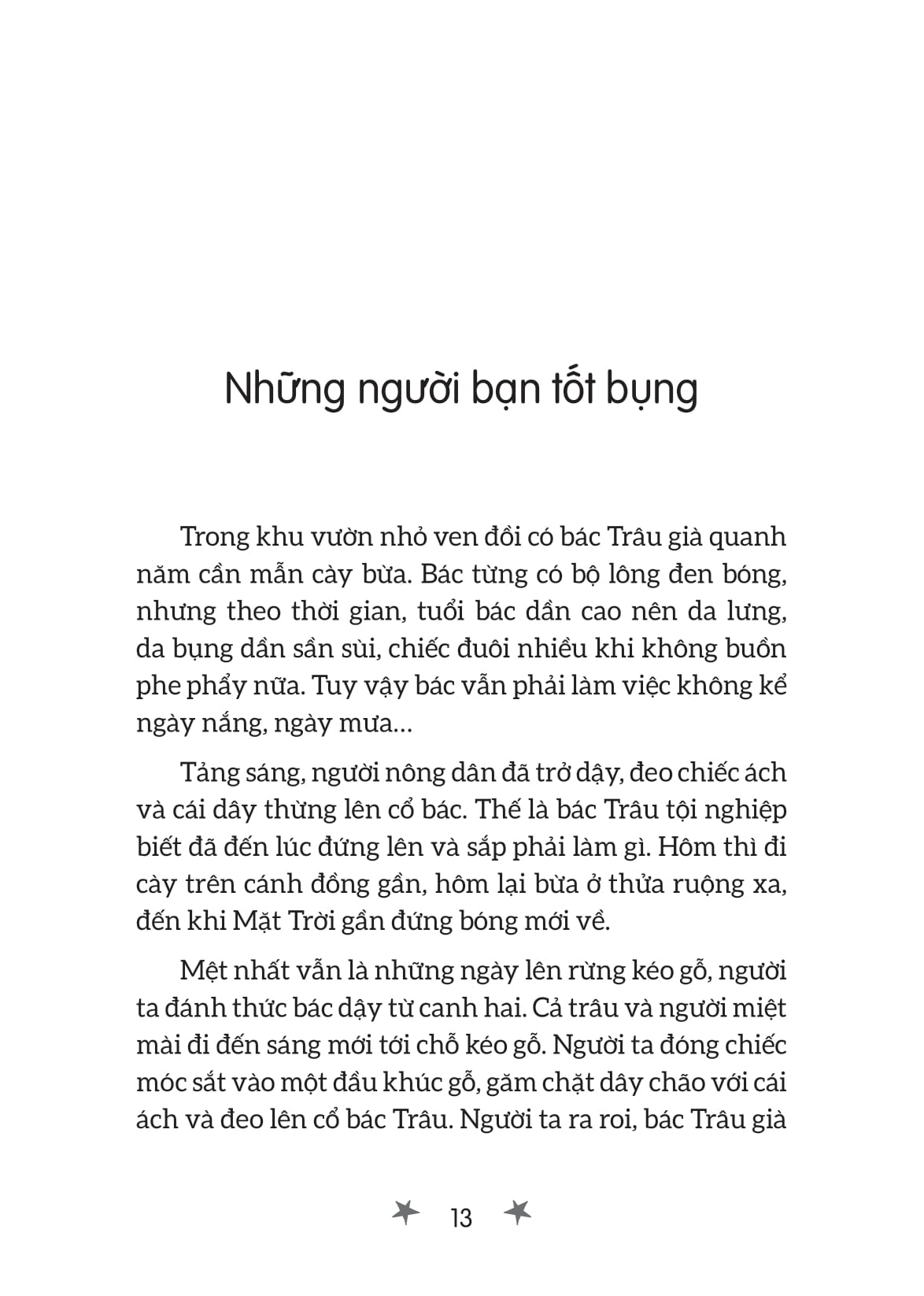 tiếng sáo gà lôi - Ảnh 9