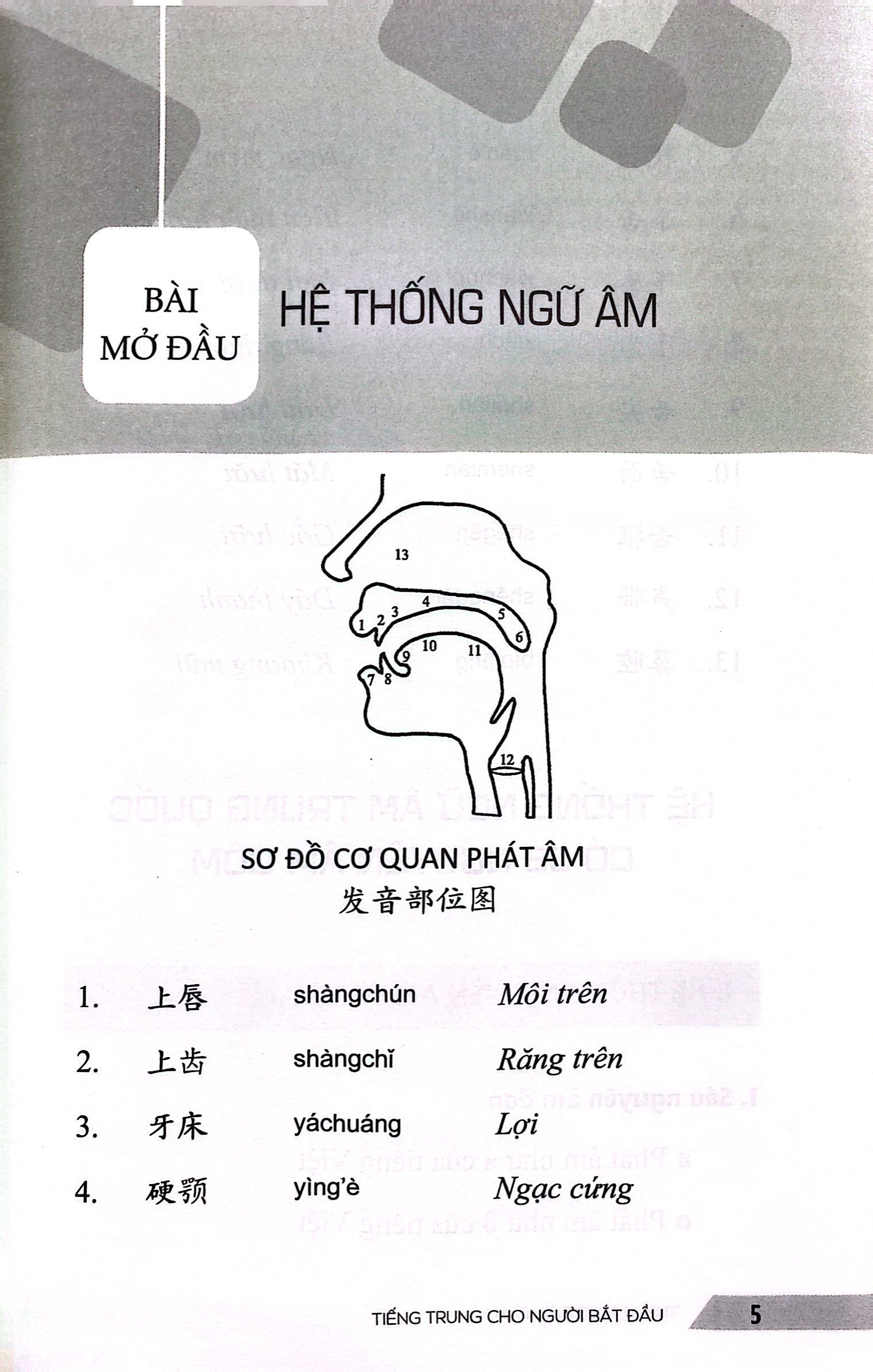 tiếng trung cho người bắt đầu - giáo trình hán ngữ căn bản với 15 chủ đề giao tiếp thông dụng - Ảnh 4