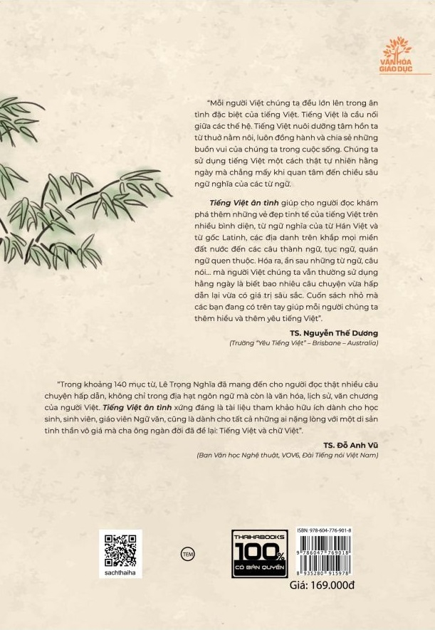 tiếng việt ân tình - Ảnh 3