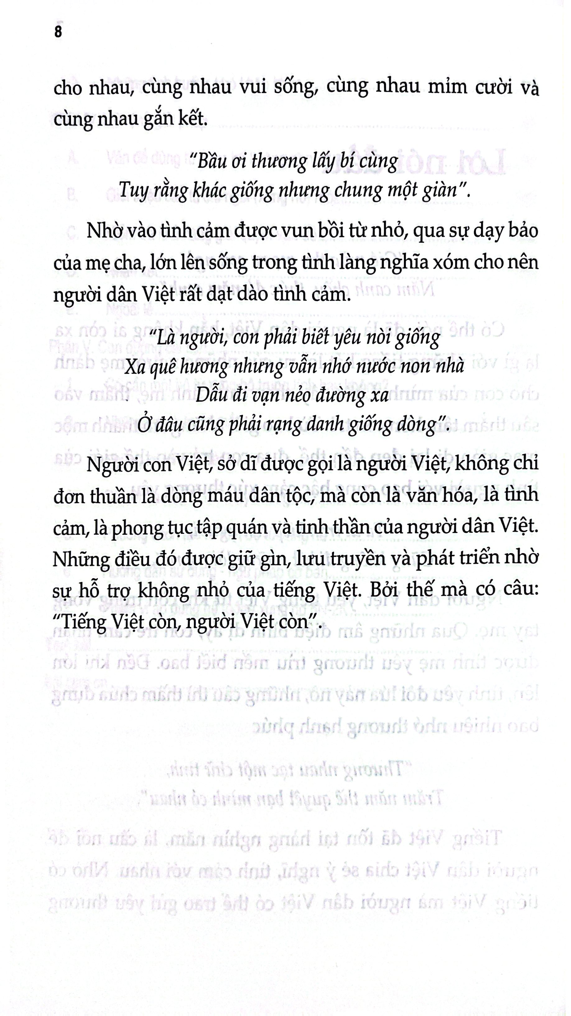 Tiếng Việt Cần Một "Đôi Đũa" - Ảnh 6