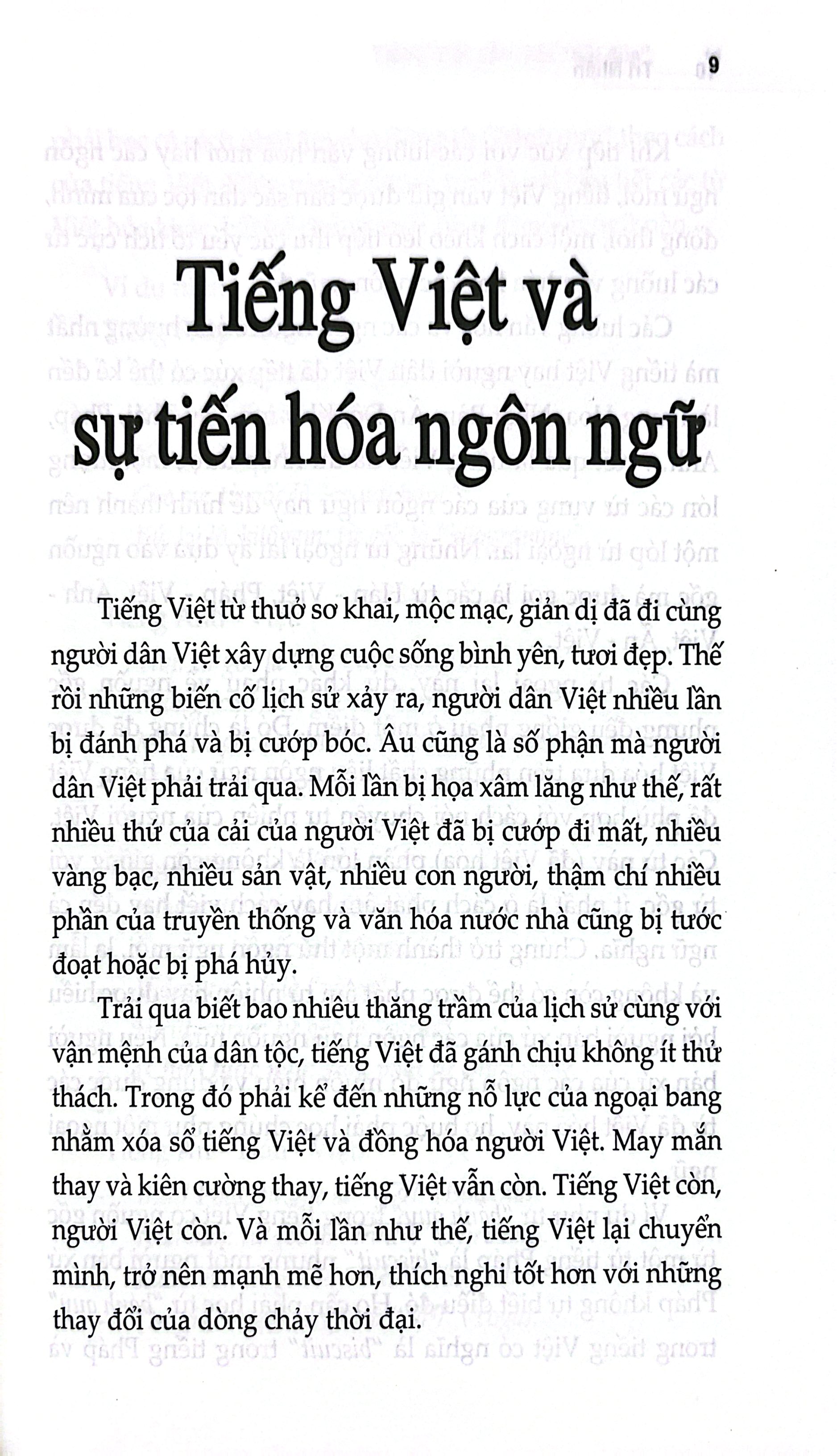 Tiếng Việt Cần Một "Đôi Đũa" - Ảnh 7