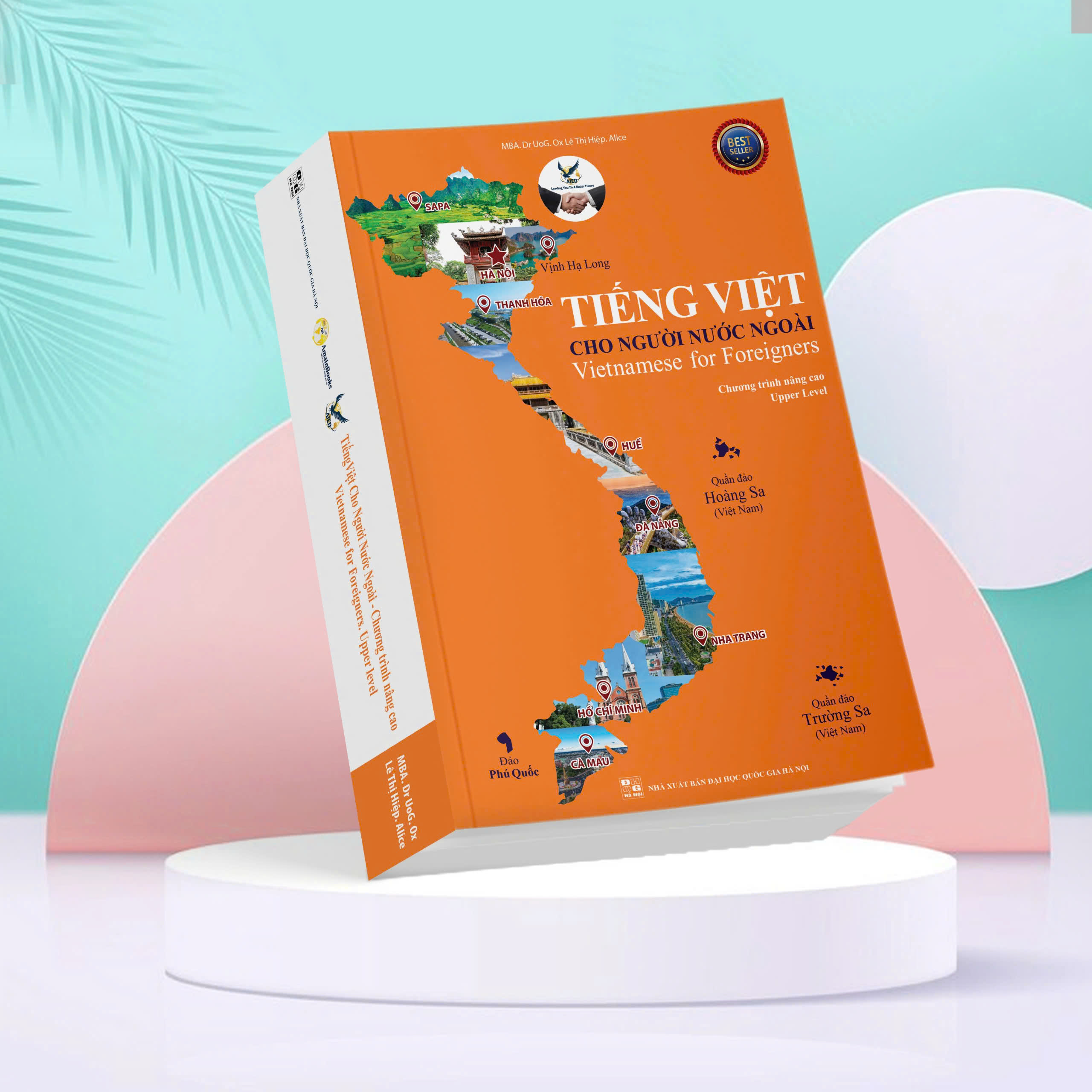 tiếng việt cho người nước ngoài - vietnamese for foreigners - chương trình nâng cao - upper level - Ảnh 3