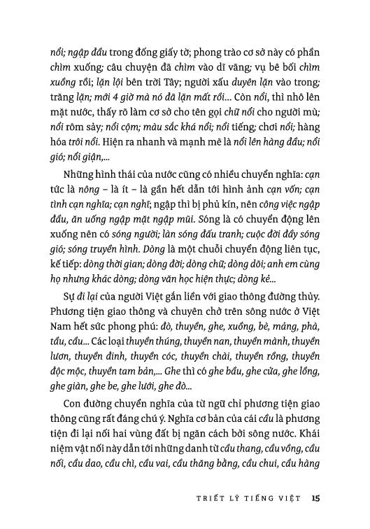 tiếng việt giàu đẹp - triết lý tiếng việt - Ảnh 10