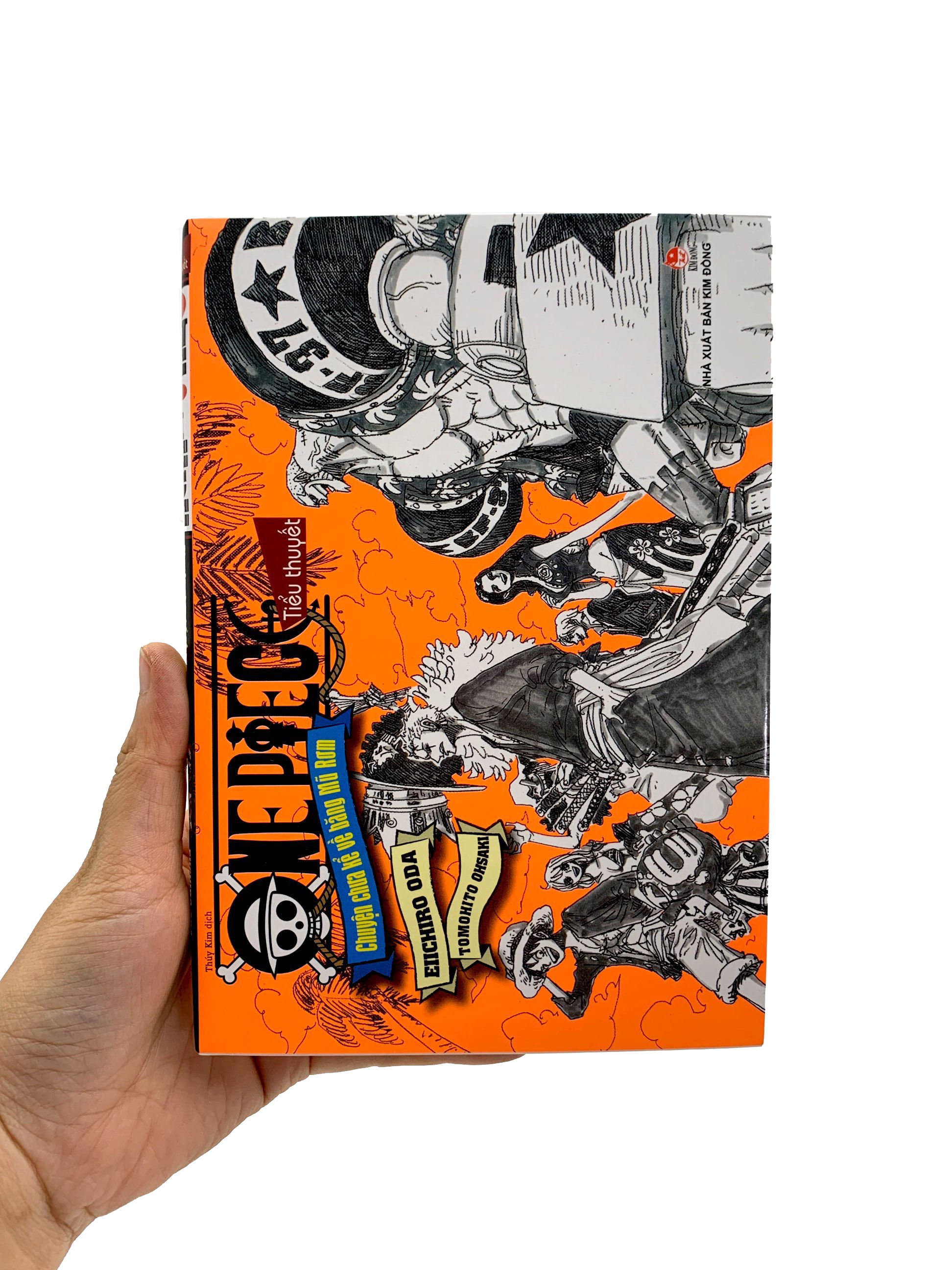 tiểu thuyết one piece - chuyện chưa kể về băng mũ rơm - Ảnh 10