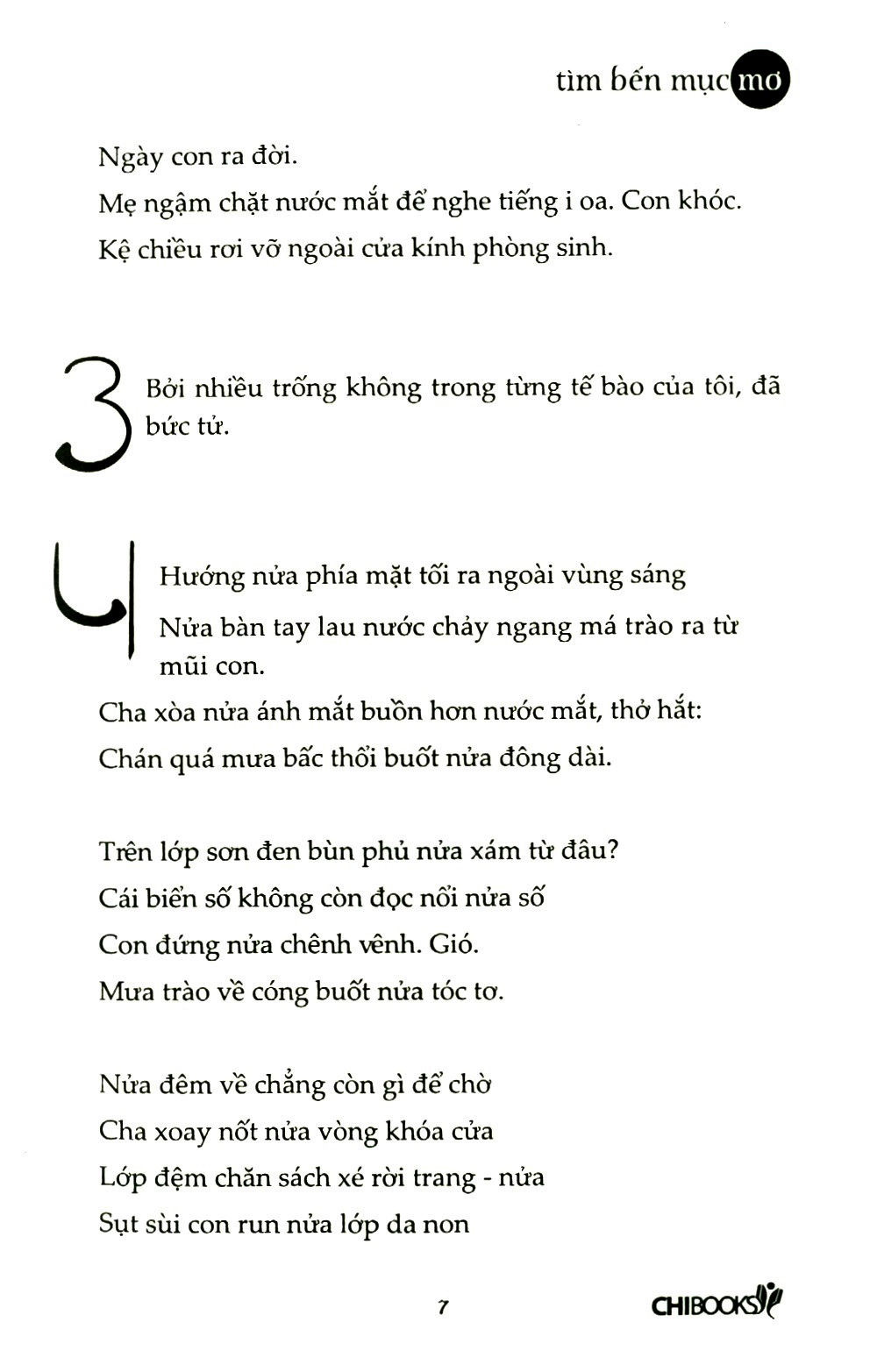 tìm bến mục mơ - Ảnh 5