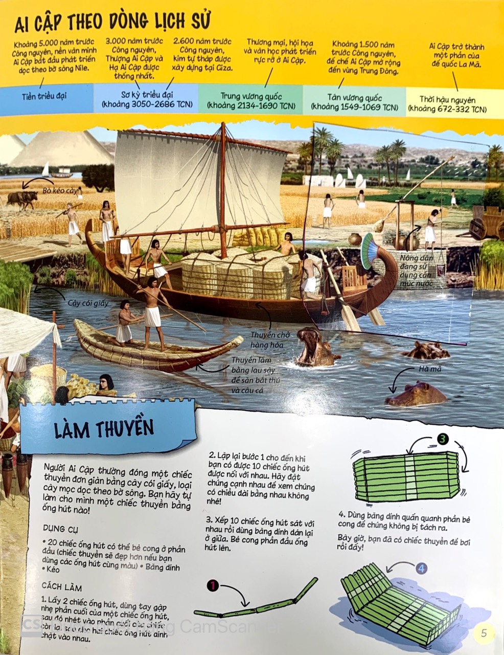 tìm hiểu về ai cập cổ đại - Ảnh 5