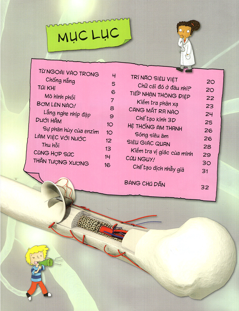 tìm hiểu về: cơ thể người - Ảnh 3