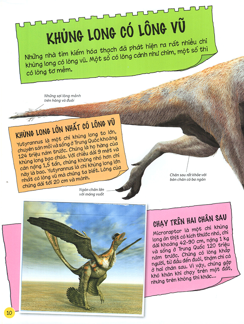 tìm hiểu về khủng long - Ảnh 11