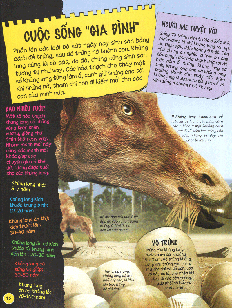 tìm hiểu về khủng long - Ảnh 13